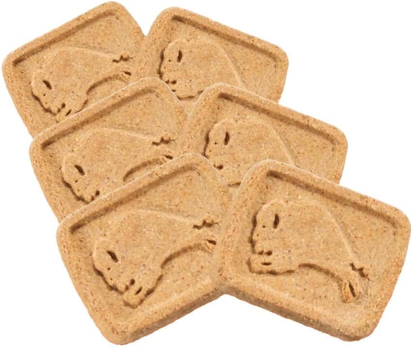 Blue Buffalo Health Bars Pumpkin & Cinnamon Dog Biscuits, 16 oz | Oven-Baked, Crunchy Texture, No Chicken By-Product, Corn, Wheat, or Soy