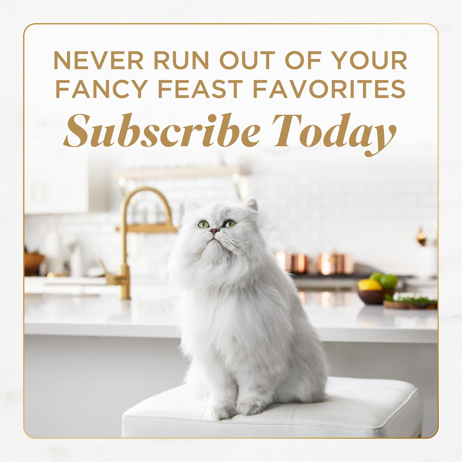 Purina Fancy Feast Gravy Lovers, Poultry & Beef Wet Cat Food, 3oz, 24-Pack | Variety Pack, grilled gourmet texture made with no artificial colors or preservatives, 100 percent complete and balanced