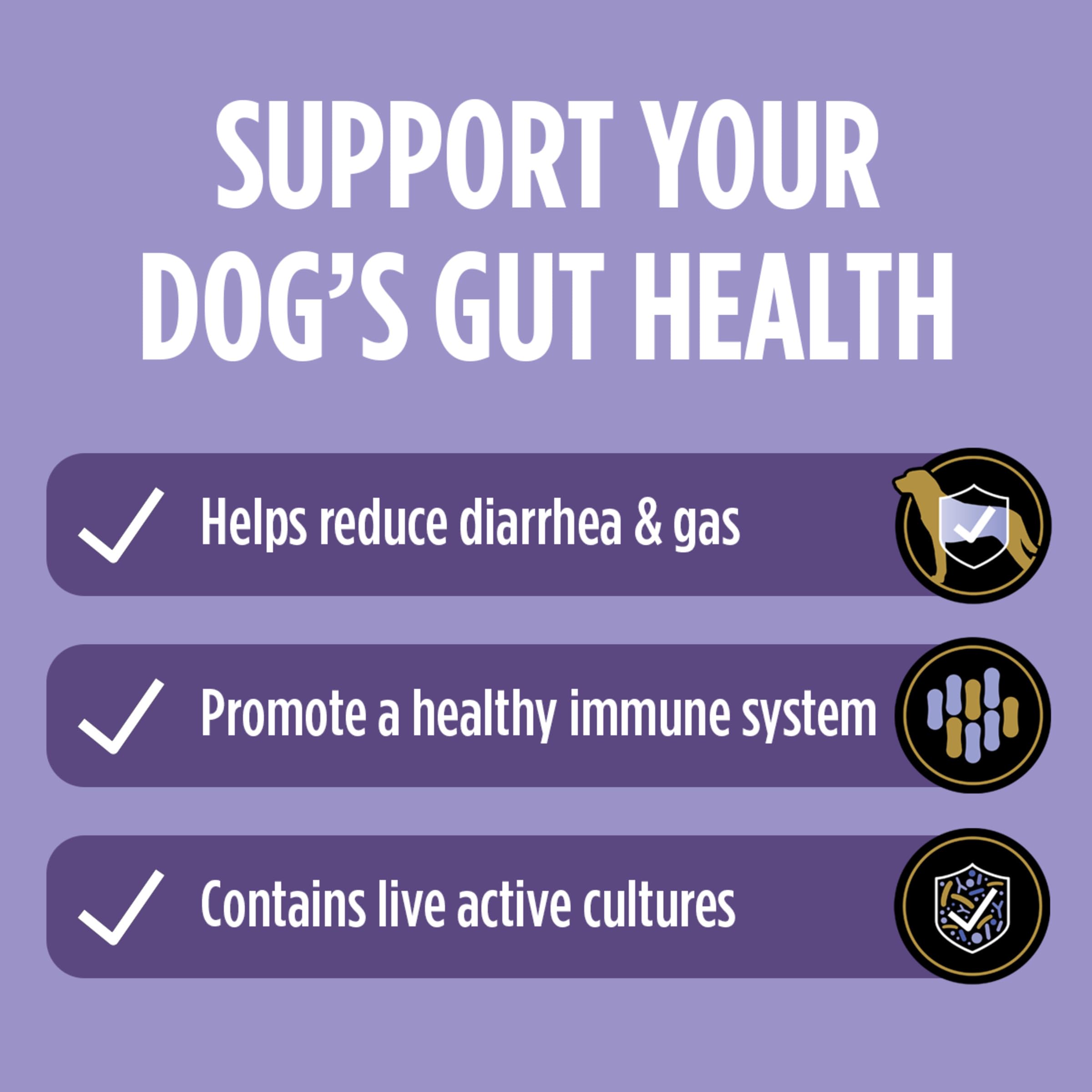Purina Pro Plan Veterinary Supplements FortiFlora Probiotic Powder for Dogs, Daily Support for Digestive and Immune Health and Occasional Diarrhea