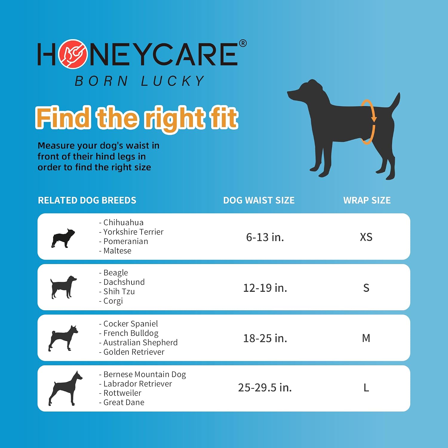 HONEY CARE All-Absorb A26 Male Dog Wrap, 50 Count, Small