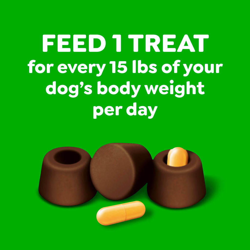 Greenies Pill Pockets Large Size Dog Treats, Peanut Butter, 15.8 oz | Vet-recommended, capsule size, low calorie, odor masking, stress- and mess-free medication experience