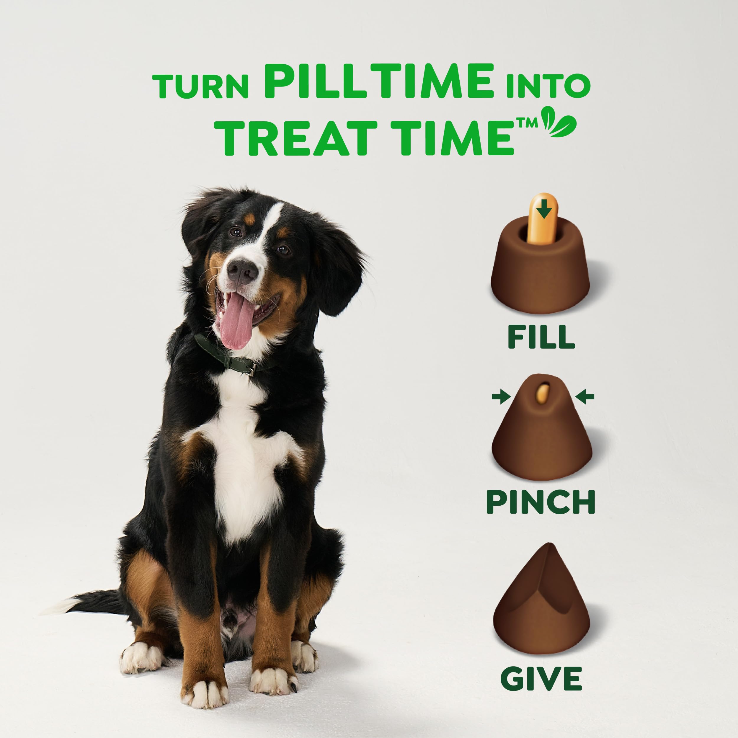 Greenies Pill Pockets Large Size Dog Treats, Peanut Butter, 15.8 oz | Vet-recommended, capsule size, low calorie, odor masking, stress- and mess-free medication experience