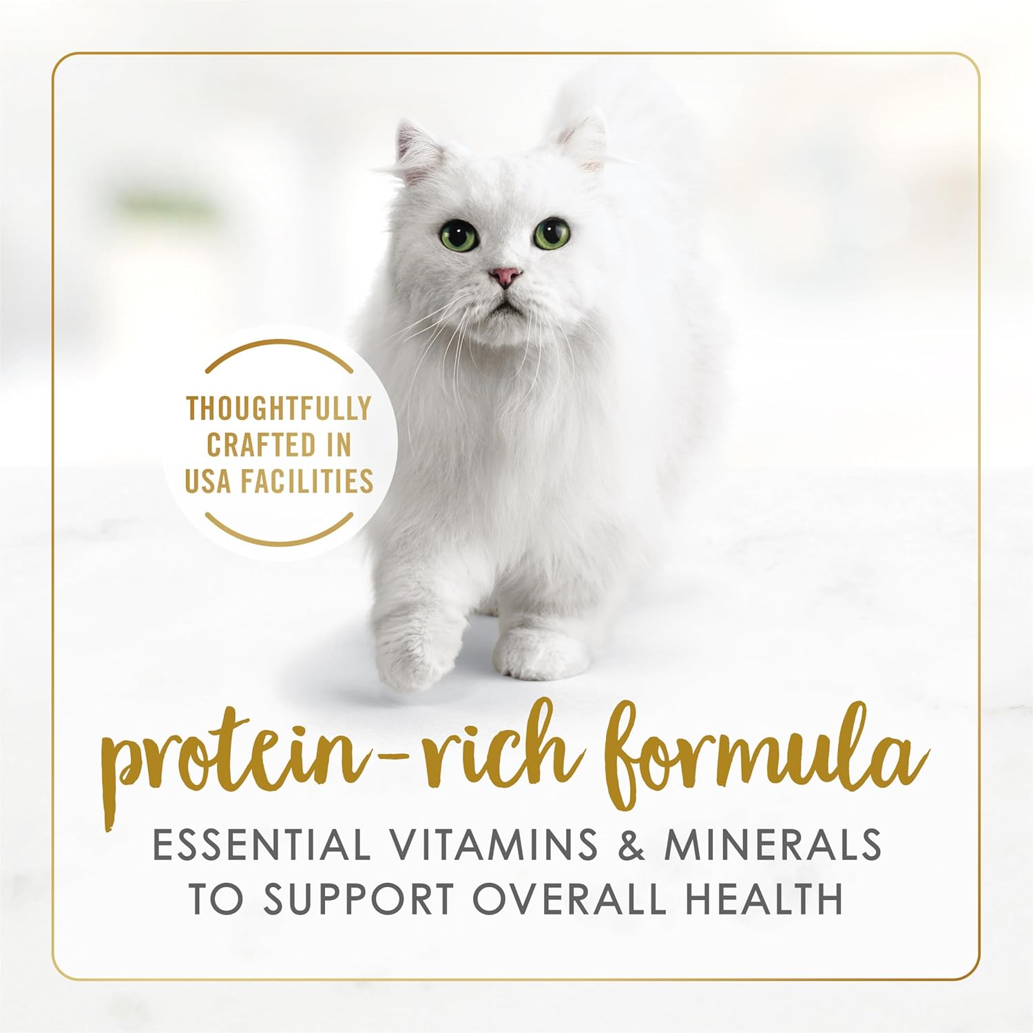 Purina Fancy Feast Gravy Lovers, Poultry & Beef Wet Cat Food, 3oz, 24-Pack | Variety Pack, grilled gourmet texture made with no artificial colors or preservatives, 100 percent complete and balanced