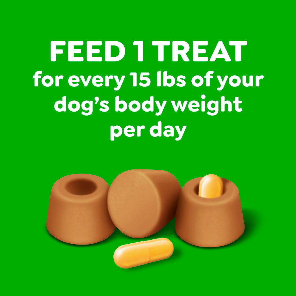 Greenies Pill Pockets Large Size Dog Treats, Peanut Butter, 15.8 oz | Vet-recommended, capsule size, low calorie, odor masking, stress- and mess-free medication experience