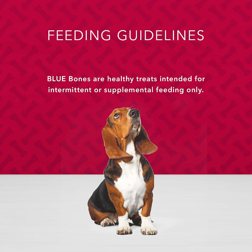 Blue Buffalo Health Bars Pumpkin & Cinnamon Dog Biscuits, 16 oz | Oven-Baked, Crunchy Texture, No Chicken By-Product, Corn, Wheat, or Soy