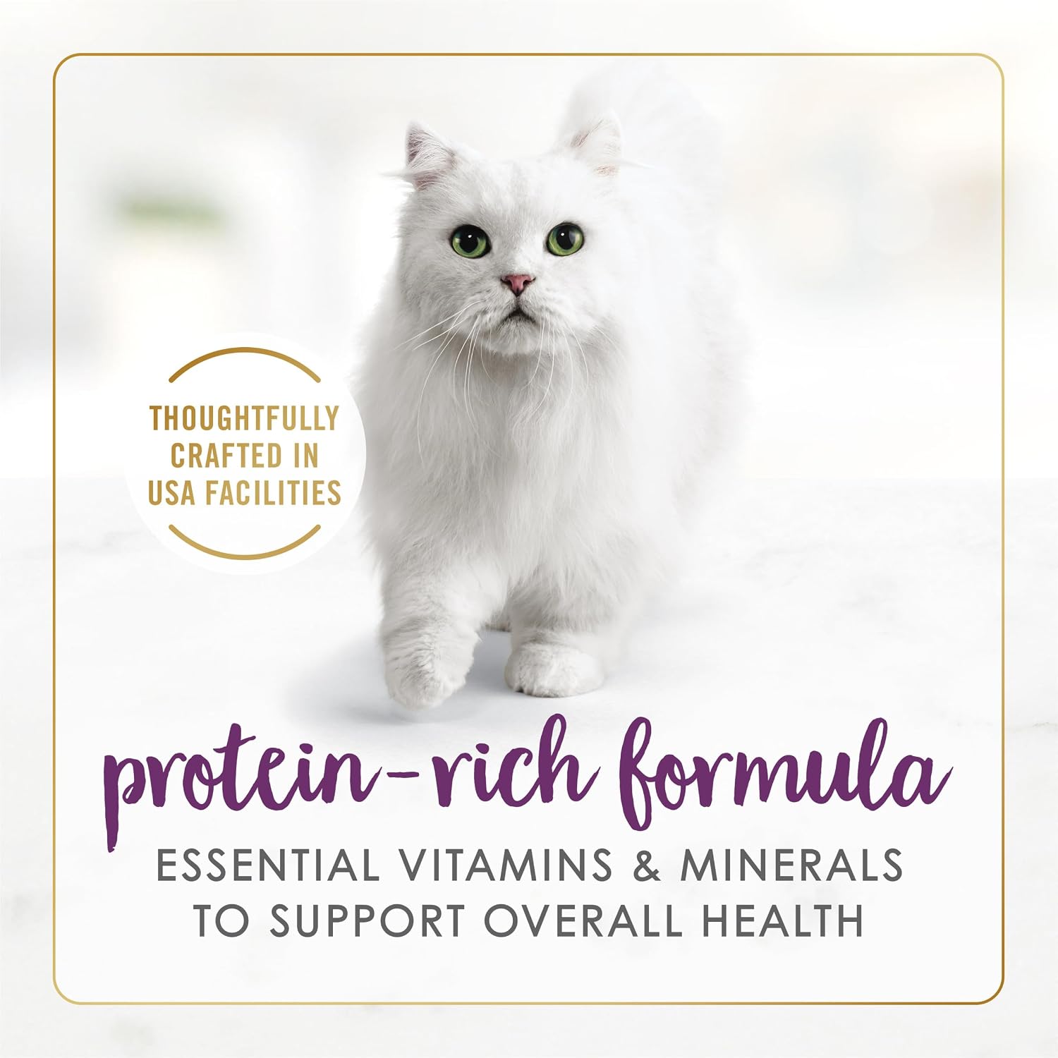 Purina Fancy Feast Gravy Lovers, Poultry & Beef Wet Cat Food, 3oz, 24-Pack | Variety Pack, grilled gourmet texture made with no artificial colors or preservatives, 100 percent complete and balanced