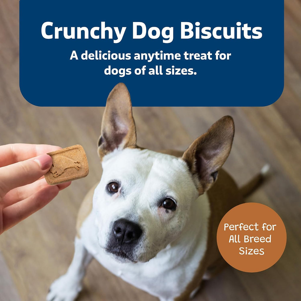 Blue Buffalo Health Bars Pumpkin & Cinnamon Dog Biscuits, 16 oz | Oven-Baked, Crunchy Texture, No Chicken By-Product, Corn, Wheat, or Soy