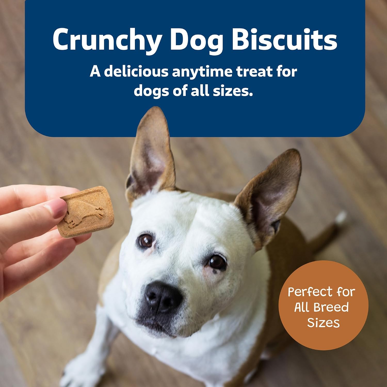 Blue Buffalo Health Bars Pumpkin & Cinnamon Dog Biscuits, 16 oz | Oven-Baked, Crunchy Texture, No Chicken By-Product, Corn, Wheat, or Soy