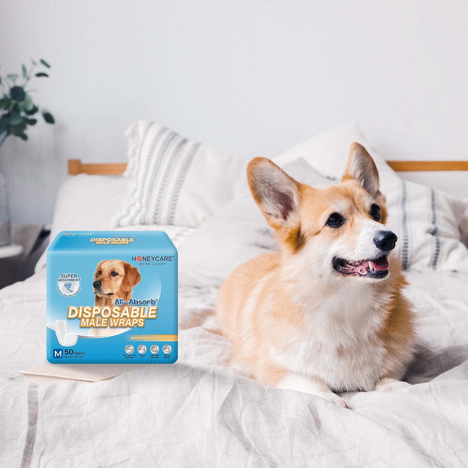 HONEY CARE All-Absorb A26 Male Dog Wrap, 50 Count, Small