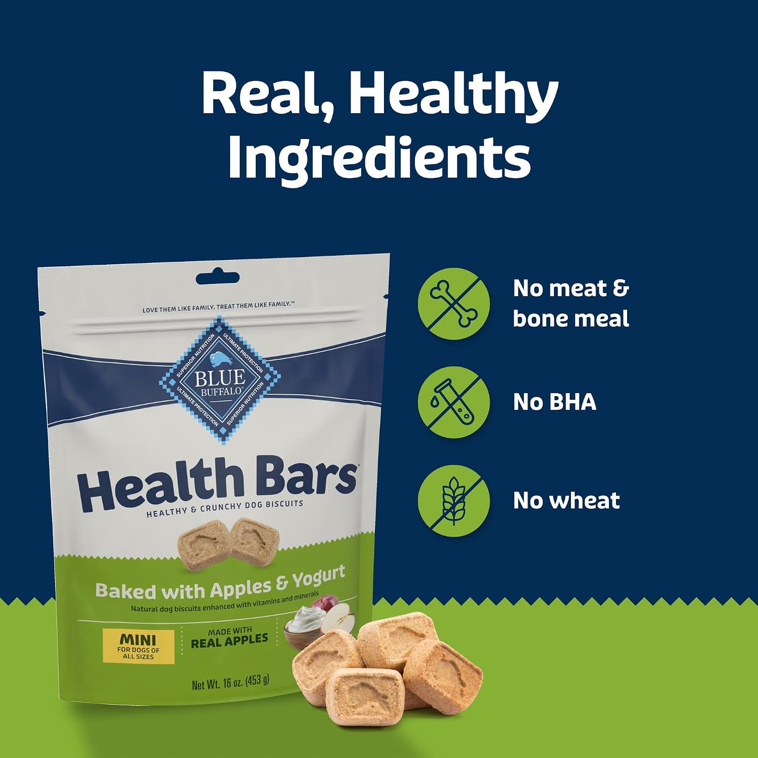 Blue Buffalo Health Bars Pumpkin & Cinnamon Dog Biscuits, 16 oz | Oven-Baked, Crunchy Texture, No Chicken By-Product, Corn, Wheat, or Soy
