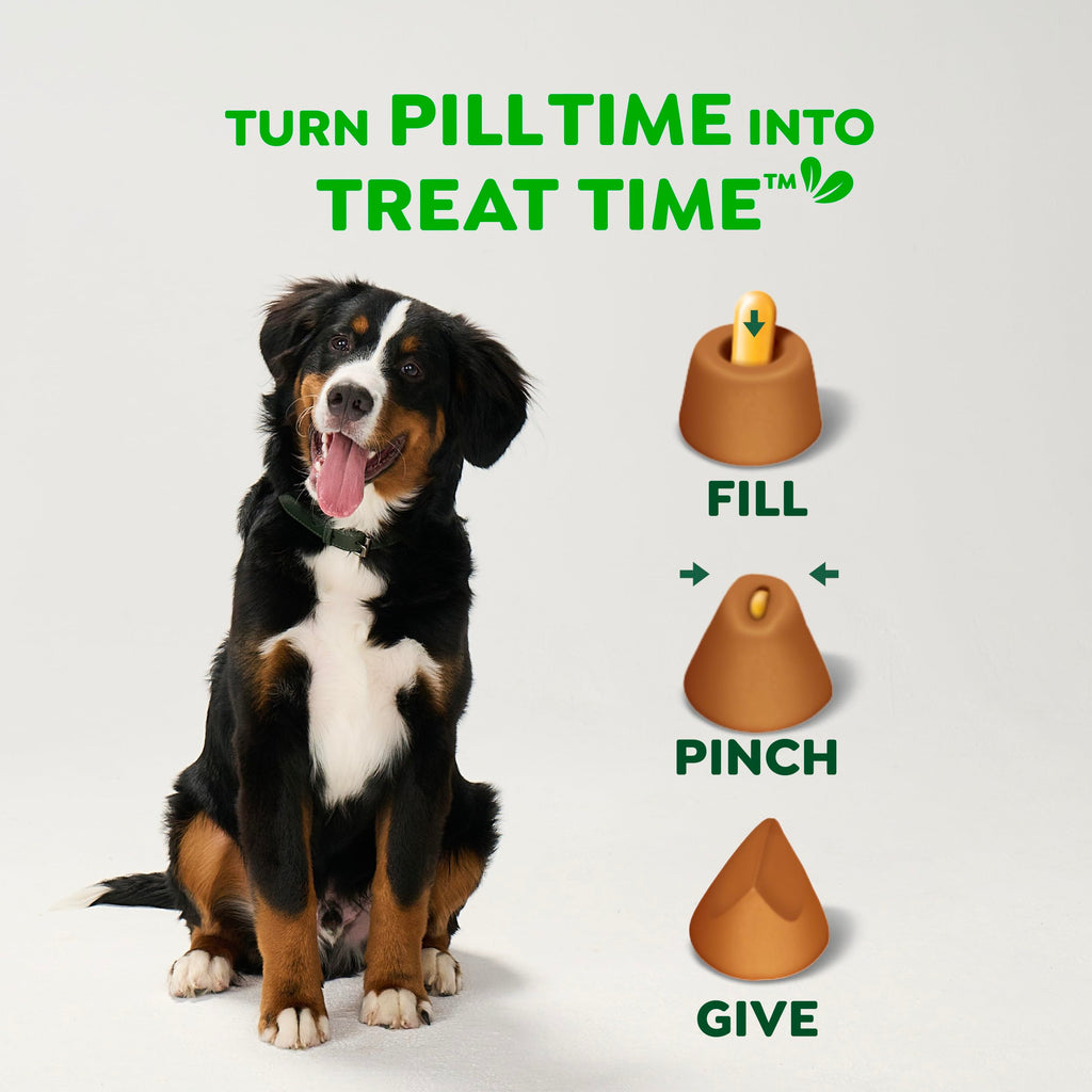 Greenies Pill Pockets Large Size Dog Treats, Peanut Butter, 15.8 oz | Vet-recommended, capsule size, low calorie, odor masking, stress- and mess-free medication experience