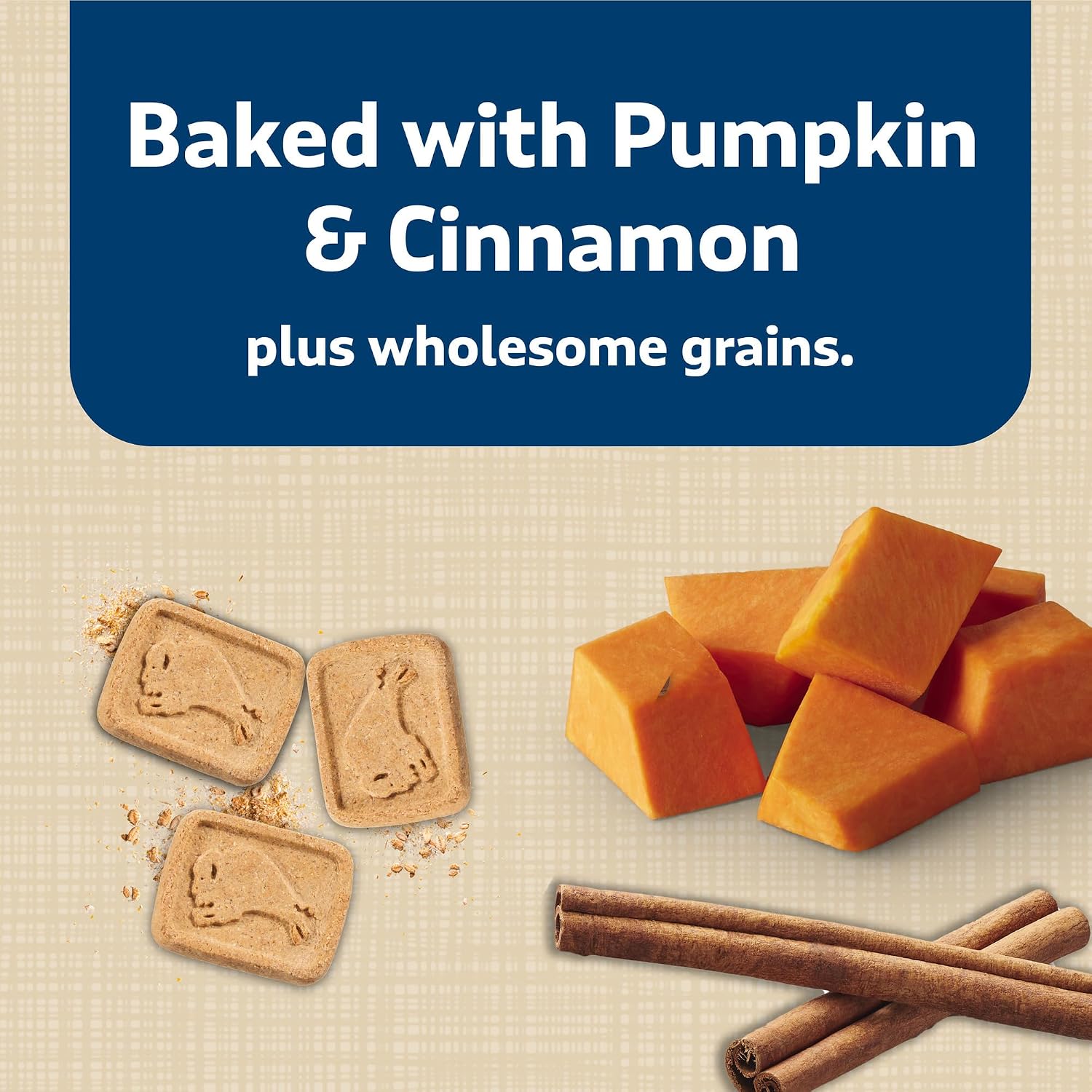 Blue Buffalo Health Bars Pumpkin & Cinnamon Dog Biscuits, 16 oz | Oven-Baked, Crunchy Texture, No Chicken By-Product, Corn, Wheat, or Soy