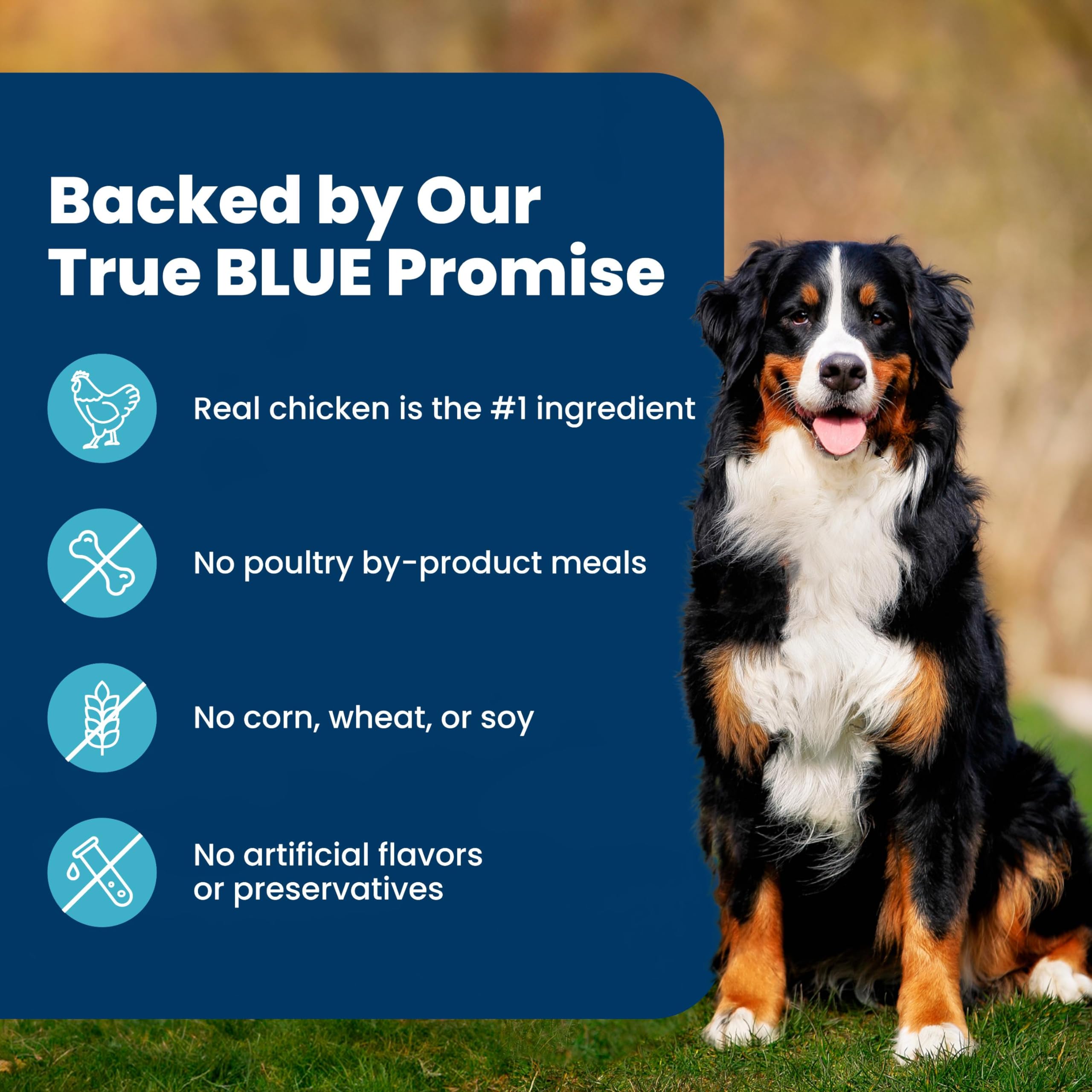 Blue Buffalo Life Protection Formula Chicken Adult Dry Dog Food, 5 lb | Real Chicken #1 Ingredient, Supports Immunity with Antioxidant-Rich LifeSource Bits, Promotes Healthy Muscle Development