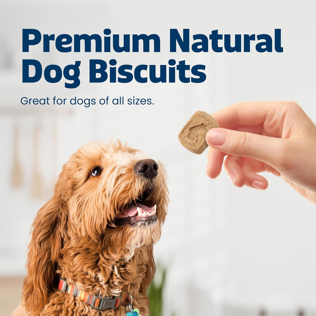 Blue Buffalo Health Bars Pumpkin & Cinnamon Dog Biscuits, 16 oz | Oven-Baked, Crunchy Texture, No Chicken By-Product, Corn, Wheat, or Soy