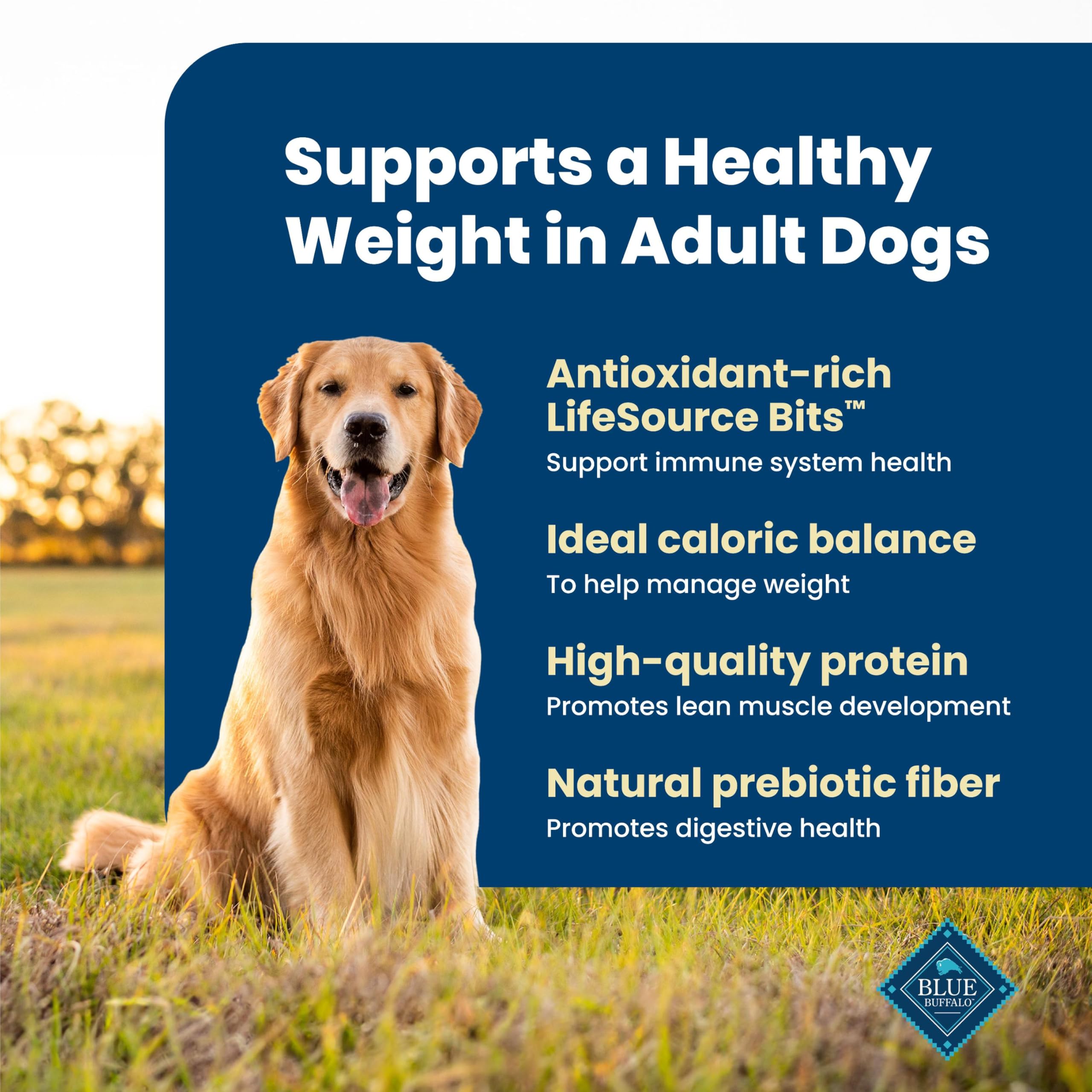 Blue Buffalo Life Protection Formula Chicken Adult Dry Dog Food, 5 lb | Real Chicken #1 Ingredient, Supports Immunity with Antioxidant-Rich LifeSource Bits, Promotes Healthy Muscle Development