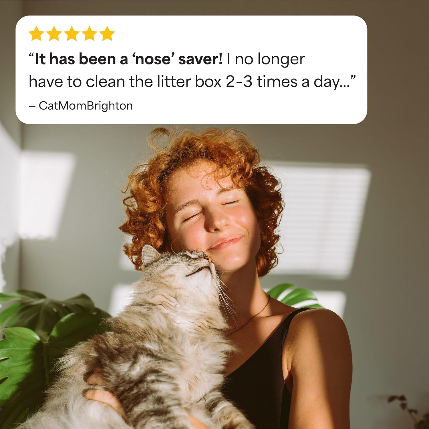 Fresh Step Advanced Odor Shield Clumping Cat Litter with Gain, 18.5 lb, 2Pk | Odor Shield with Ammonia Block Technology, Low Dust, Multi Cat, Compatible with Most Automatic Litter Boxes