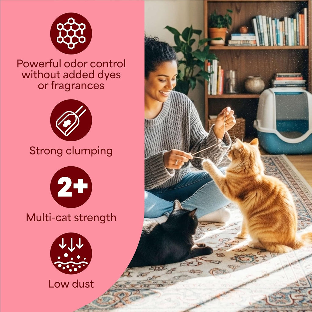 Fresh Step Advanced Odor Shield Clumping Cat Litter with Gain, 18.5 lb, 2Pk | Odor Shield with Ammonia Block Technology, Low Dust, Multi Cat, Compatible with Most Automatic Litter Boxes