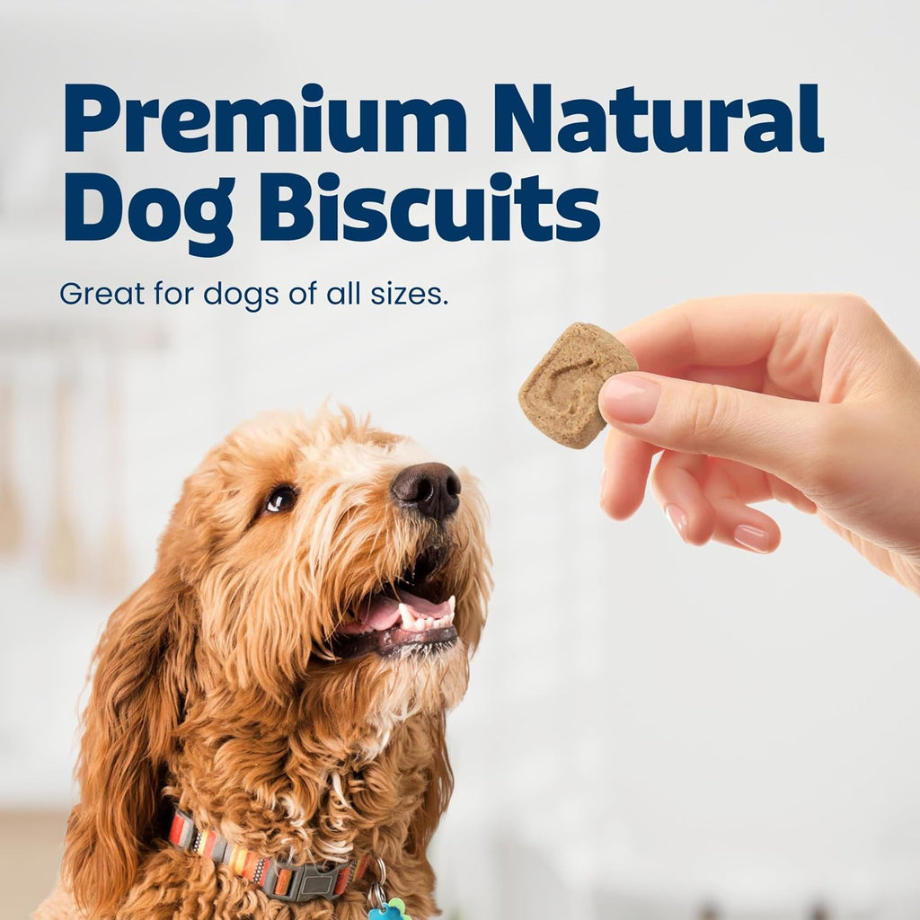 Blue Buffalo Health Bars Pumpkin & Cinnamon Dog Biscuits, 16 oz | Oven-Baked, Crunchy Texture, No Chicken By-Product, Corn, Wheat, or Soy
