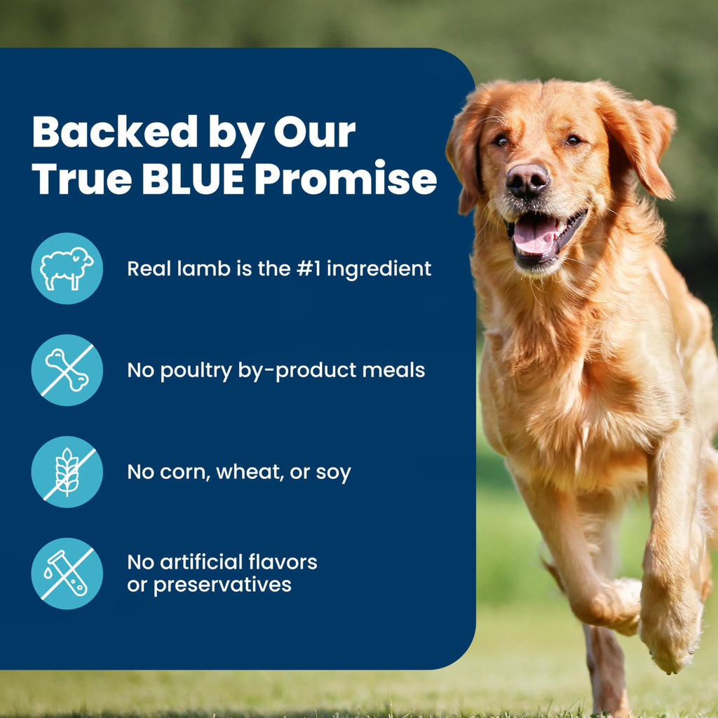 Blue Buffalo Life Protection Formula Chicken Adult Dry Dog Food, 5 lb | Real Chicken #1 Ingredient, Supports Immunity with Antioxidant-Rich LifeSource Bits, Promotes Healthy Muscle Development