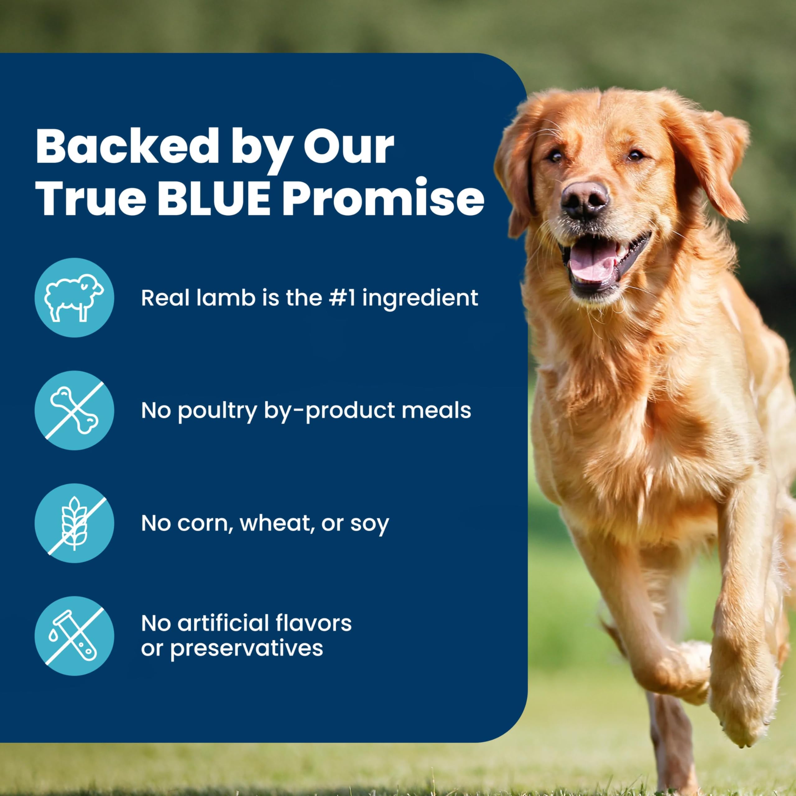 Blue Buffalo Life Protection Formula Chicken Adult Dry Dog Food, 5 lb | Real Chicken #1 Ingredient, Supports Immunity with Antioxidant-Rich LifeSource Bits, Promotes Healthy Muscle Development
