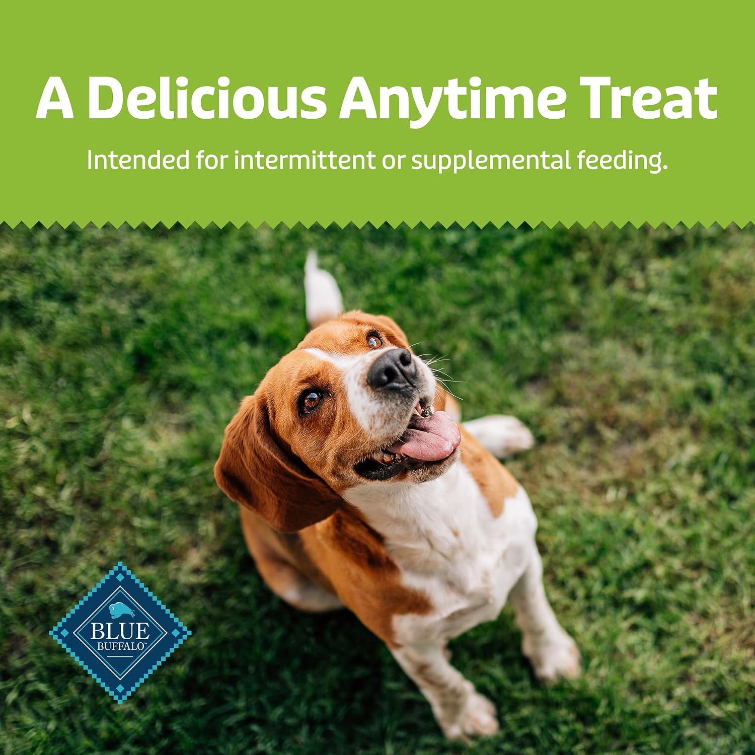 Blue Buffalo Health Bars Pumpkin & Cinnamon Dog Biscuits, 16 oz | Oven-Baked, Crunchy Texture, No Chicken By-Product, Corn, Wheat, or Soy