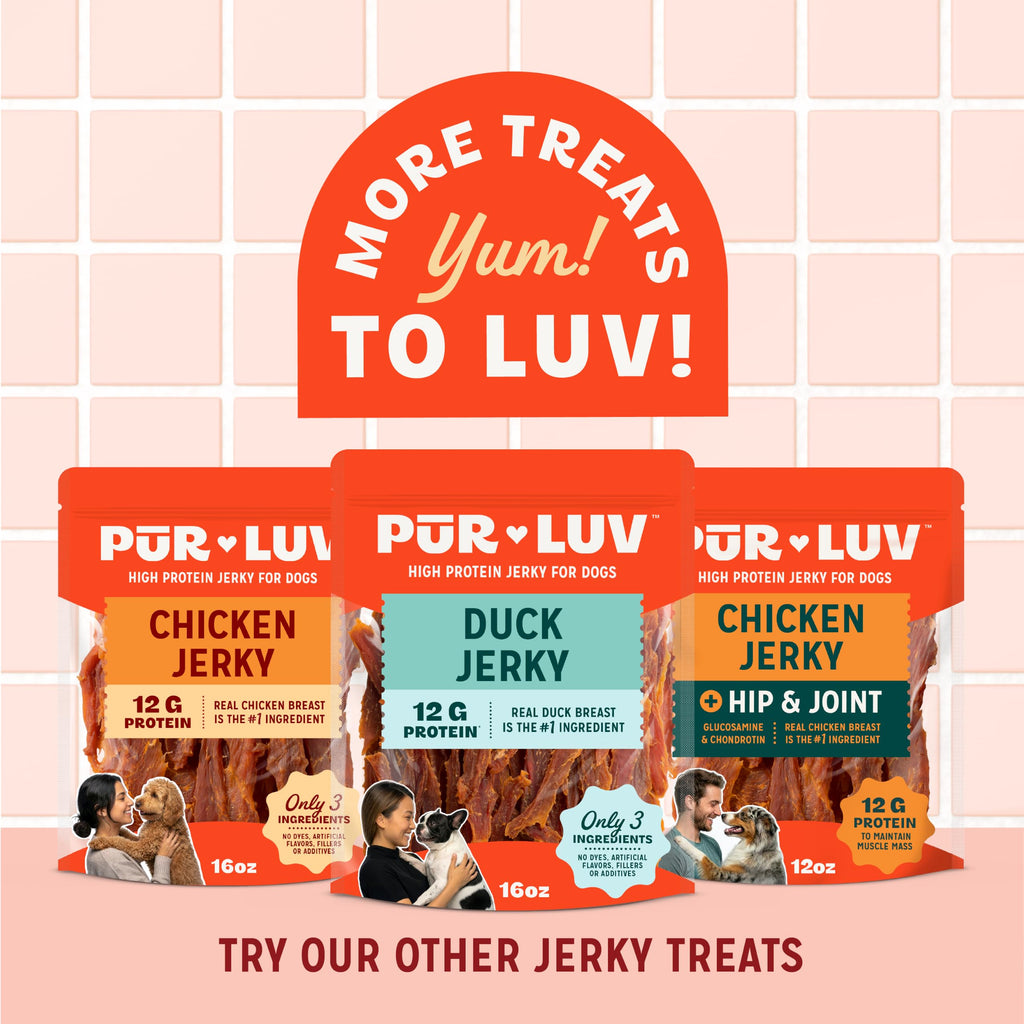 Pur Luv Chicken Wrapped Sweet Potato Dog Treats, Rawhide Free Jerky Wraps, Made with Real Chicken, 16 Oz, Healthy, Easily Digestible, Long Lasting, High Protein Treat, Satisfies Dog's Urge to Chew | Rawhide-free, high-protein jerky wrap: real chicken arou
