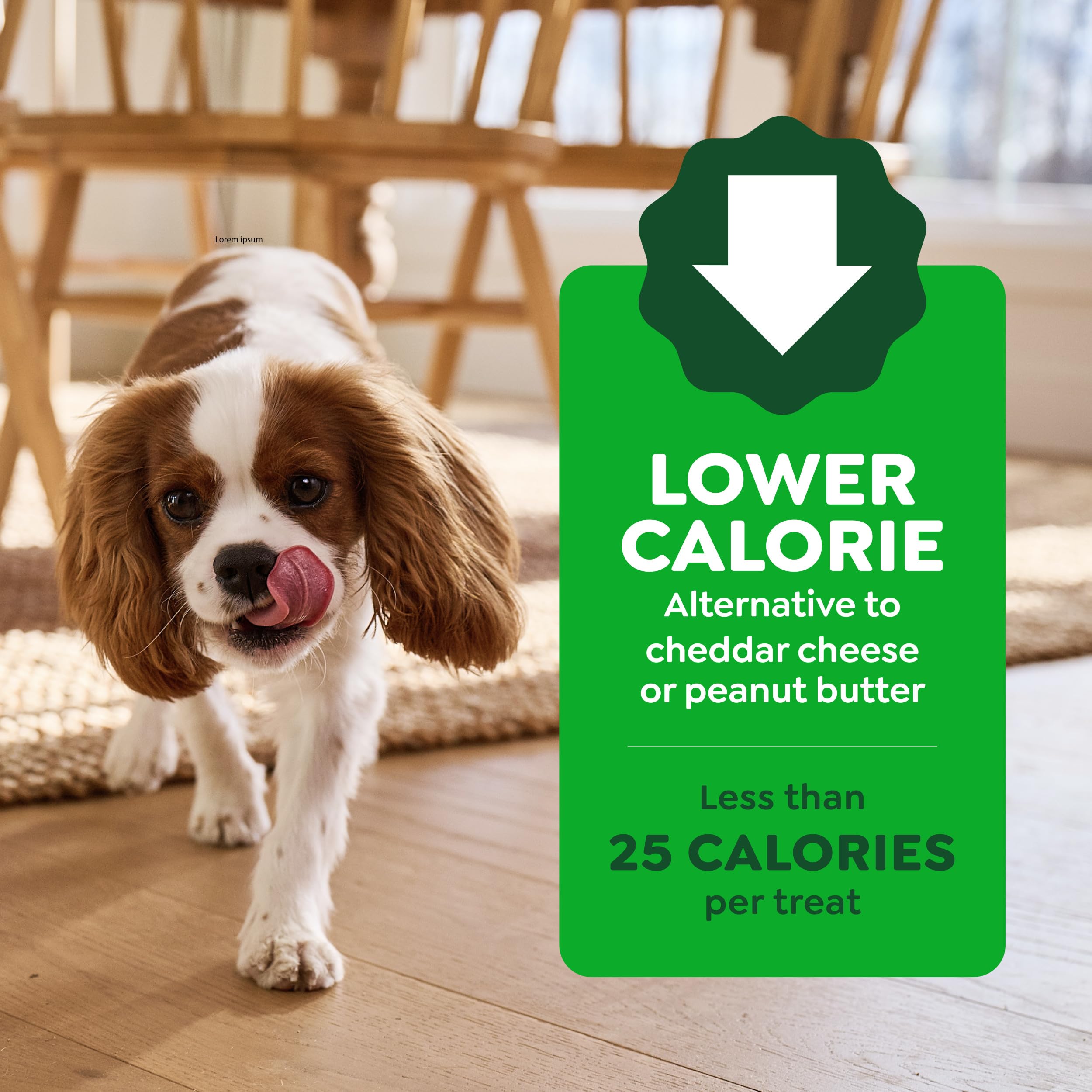 Greenies Pill Pockets Large Size Dog Treats, Peanut Butter, 15.8 oz | Vet-recommended, capsule size, low calorie, odor masking, stress- and mess-free medication experience
