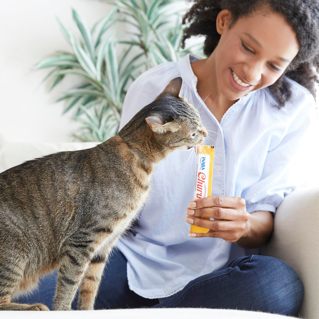 INABA Churu Cat Treats, Lickable, Squeezable Creamy Purée Cat Treat with Green Tea Extract & Taurine, 0.5 Ounces Each Tube, 20 Tubes, Tuna & Seafood Variety Box
