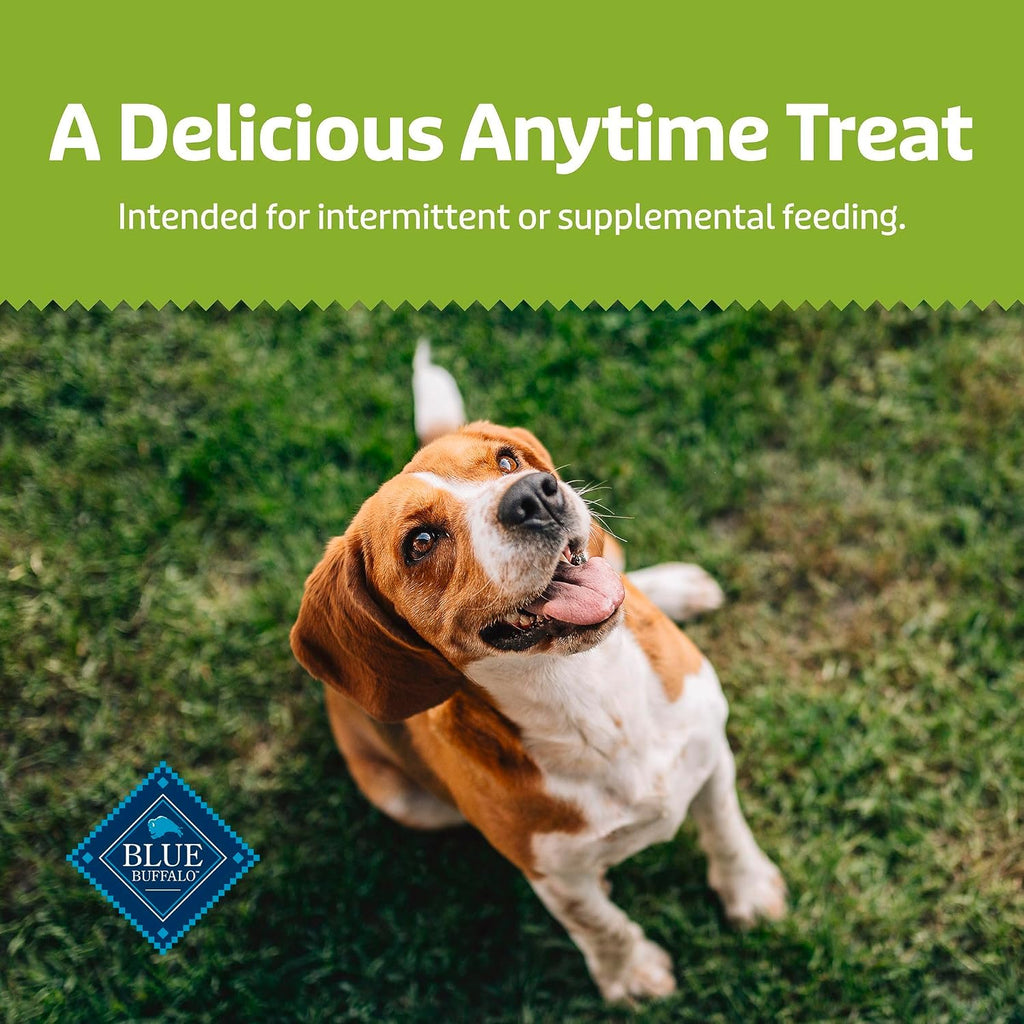 Blue Buffalo Health Bars Pumpkin & Cinnamon Dog Biscuits, 16 oz | Oven-Baked, Crunchy Texture, No Chicken By-Product, Corn, Wheat, or Soy