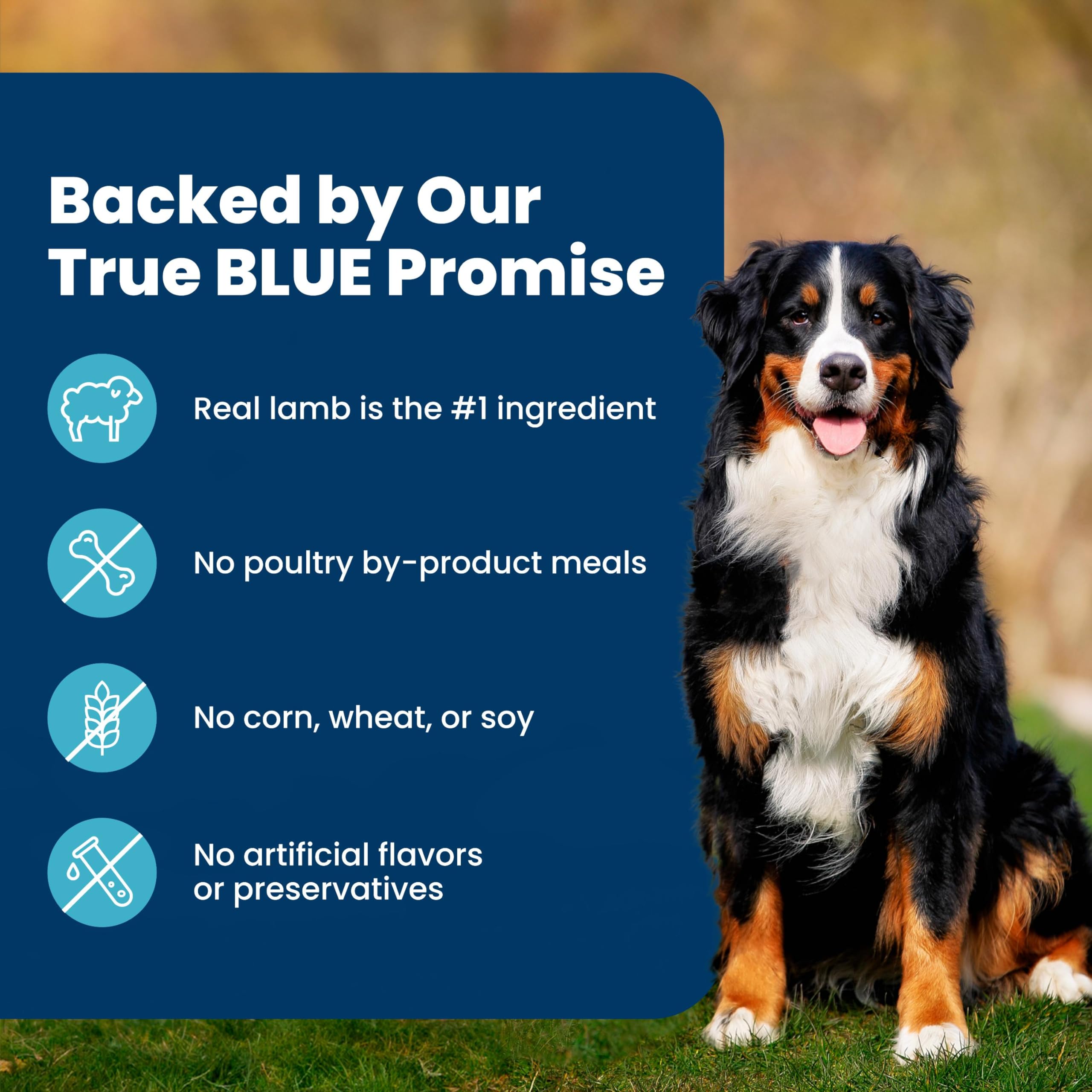 Blue Buffalo Life Protection Formula Chicken Adult Dry Dog Food, 5 lb | Real Chicken #1 Ingredient, Supports Immunity with Antioxidant-Rich LifeSource Bits, Promotes Healthy Muscle Development