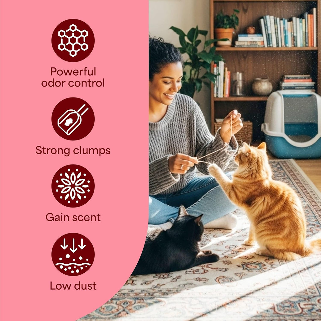Fresh Step Advanced Odor Shield Clumping Cat Litter with Gain, 18.5 lb, 2Pk | Odor Shield with Ammonia Block Technology, Low Dust, Multi Cat, Compatible with Most Automatic Litter Boxes