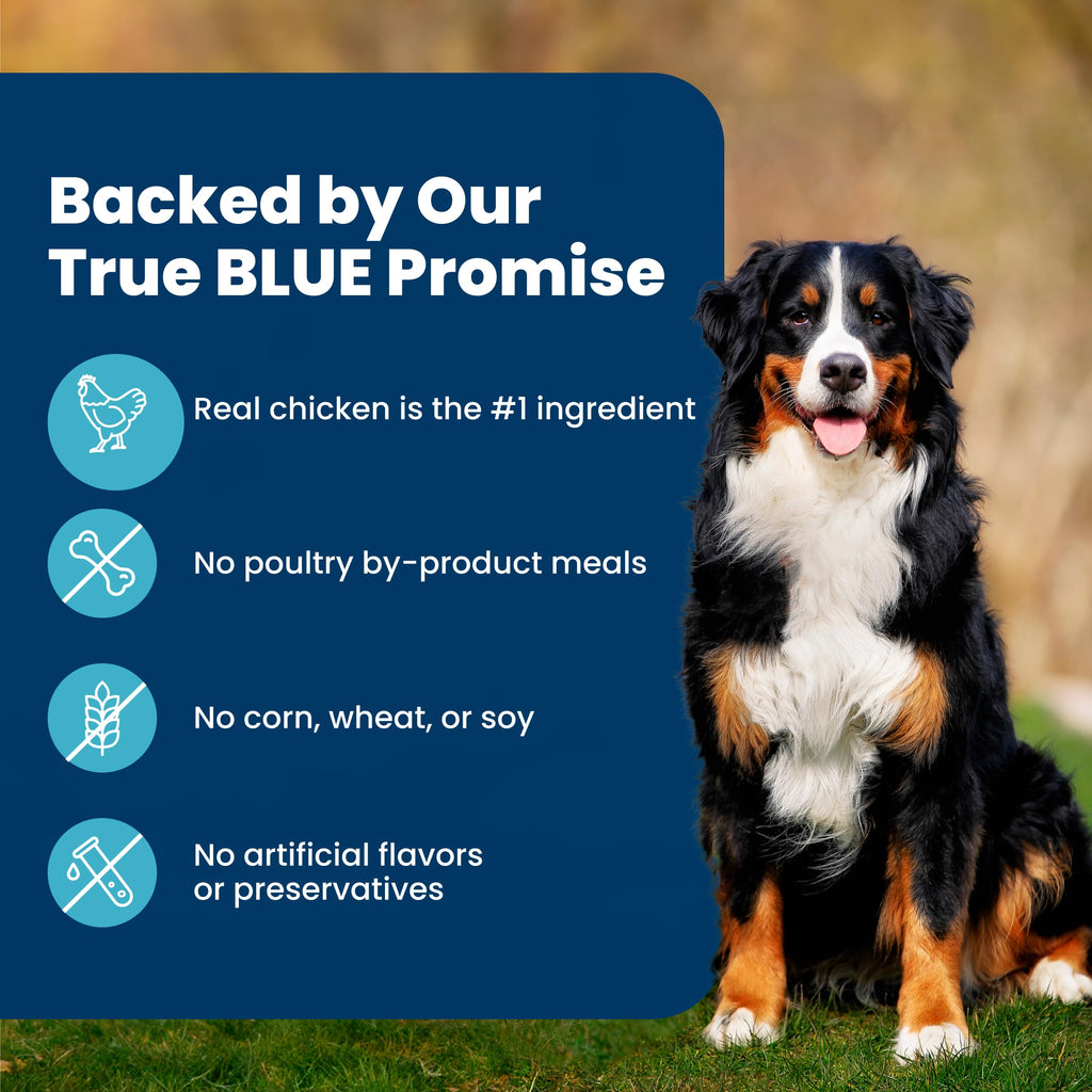 Blue Buffalo Life Protection Formula Chicken Adult Dry Dog Food, 5 lb | Real Chicken #1 Ingredient, Supports Immunity with Antioxidant-Rich LifeSource Bits, Promotes Healthy Muscle Development