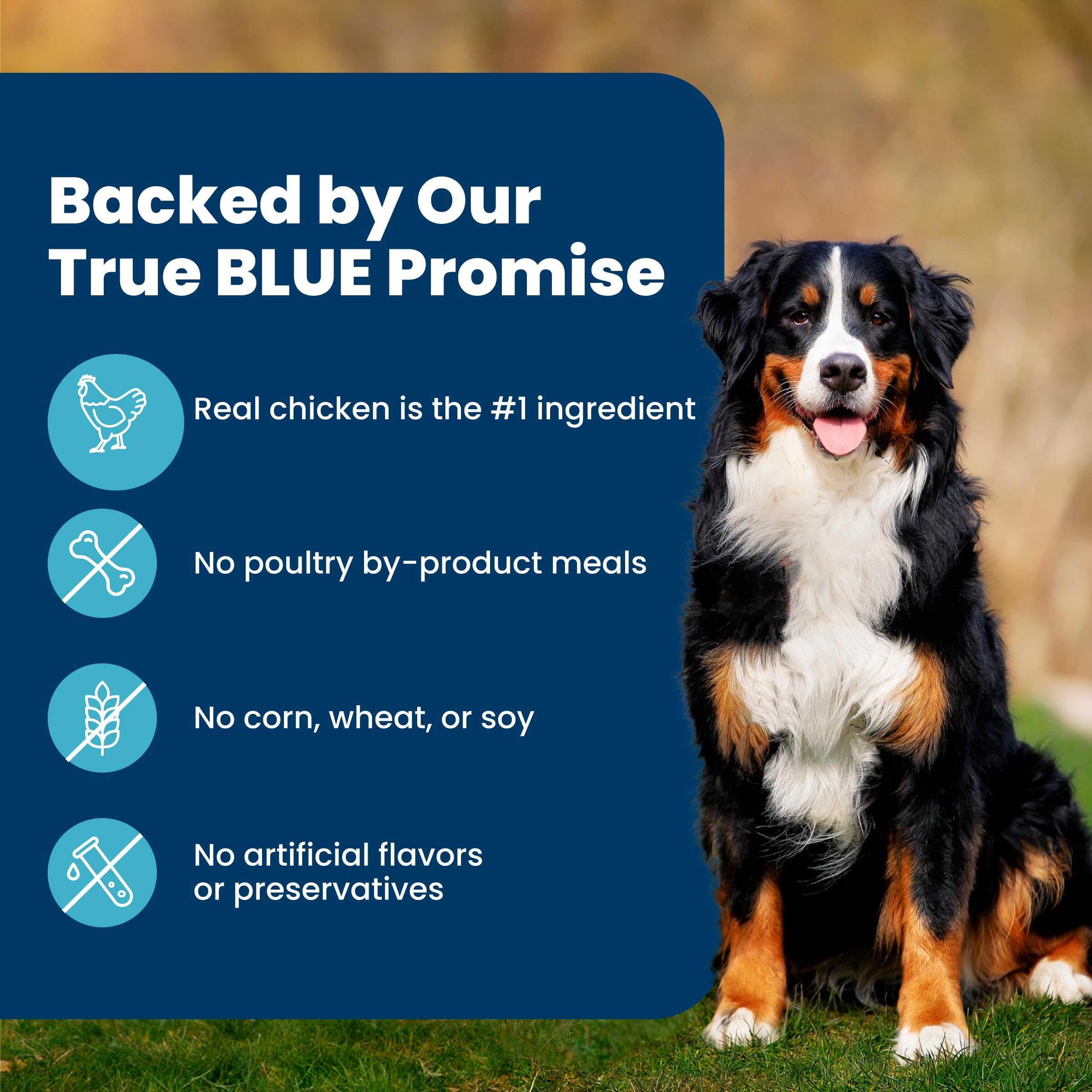 Blue Buffalo Life Protection Formula Chicken Adult Dry Dog Food, 5 lb | Real Chicken #1 Ingredient, Supports Immunity with Antioxidant-Rich LifeSource Bits, Promotes Healthy Muscle Development