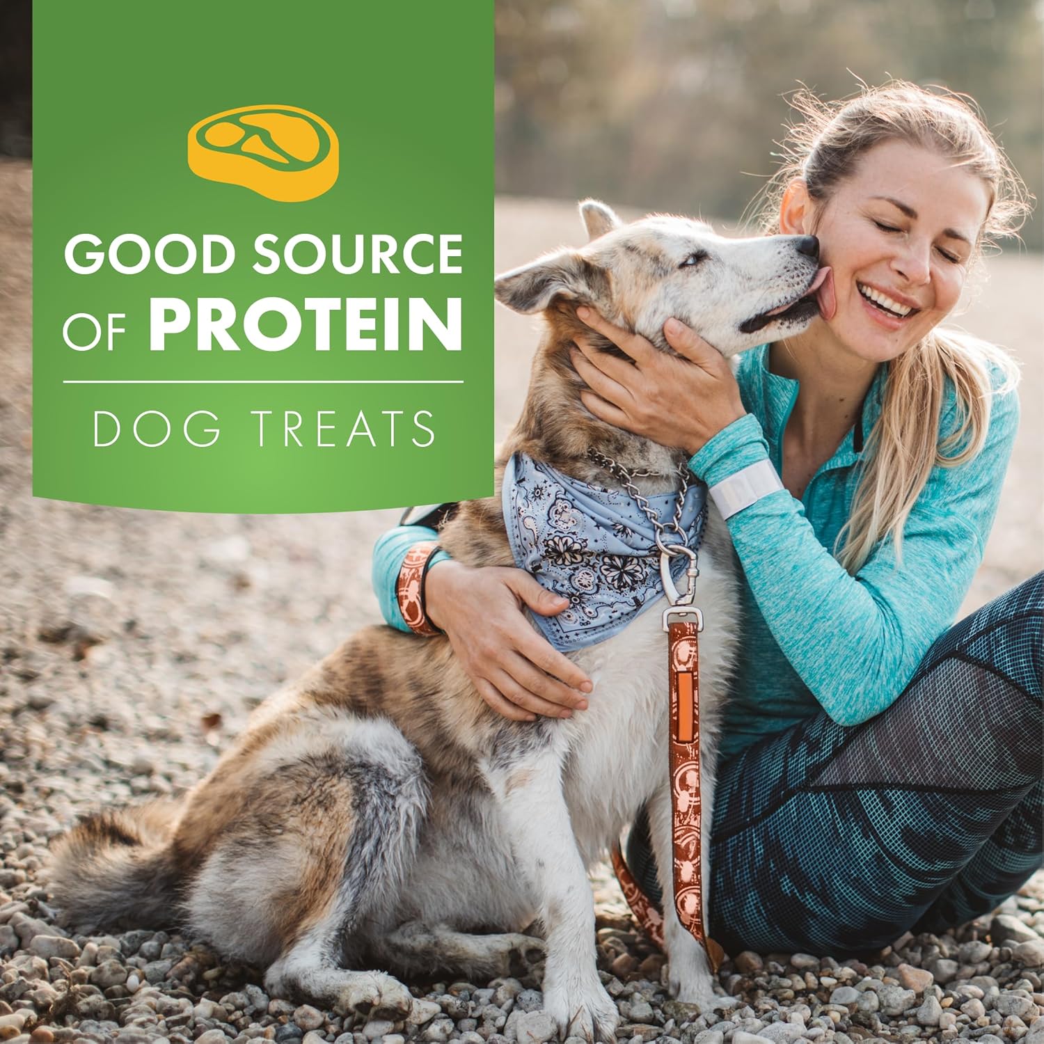 Pur Luv Chicken Wrapped Sweet Potato Dog Treats, Rawhide Free Jerky Wraps, Made with Real Chicken, 16 Oz, Healthy, Easily Digestible, Long Lasting, High Protein Treat, Satisfies Dog's Urge to Chew | Rawhide-free, high-protein jerky wrap: real chicken arou