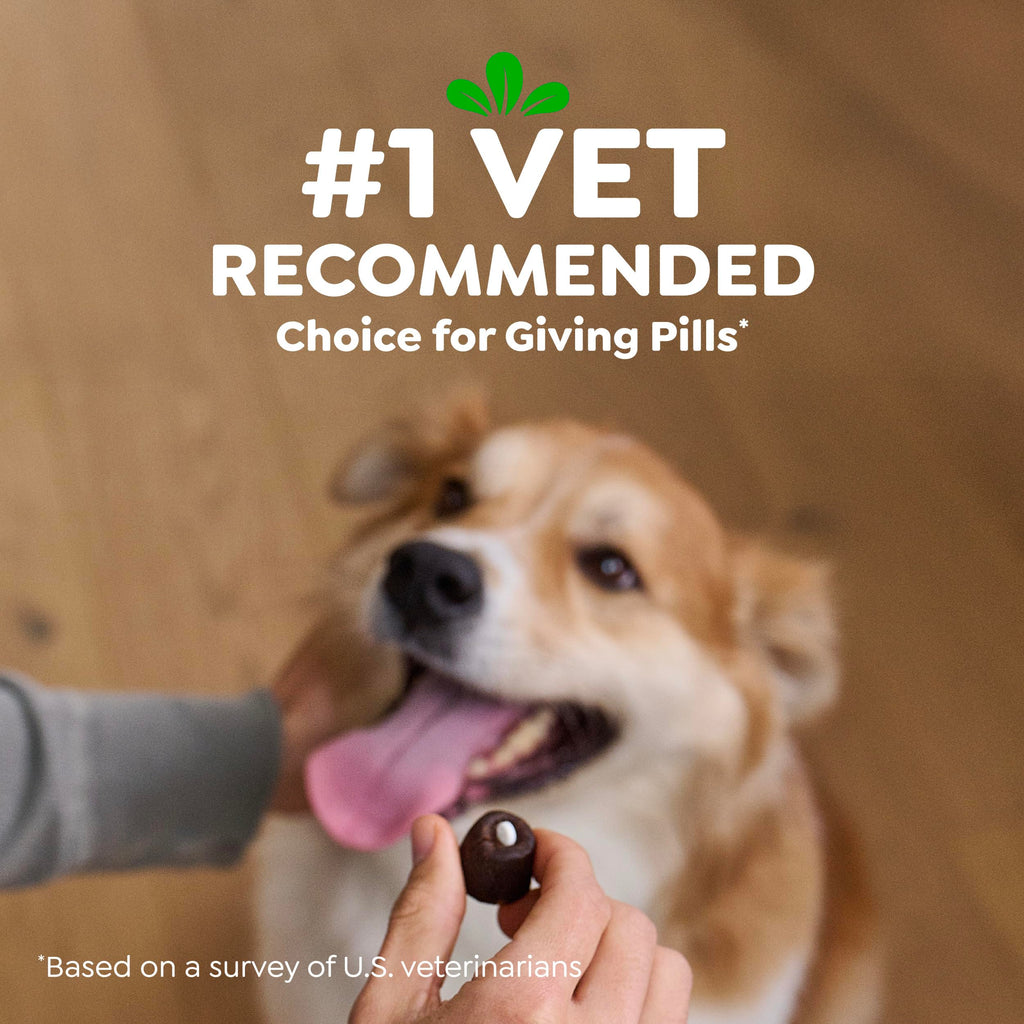 Greenies Pill Pockets Large Size Dog Treats, Peanut Butter, 15.8 oz | Vet-recommended, capsule size, low calorie, odor masking, stress- and mess-free medication experience