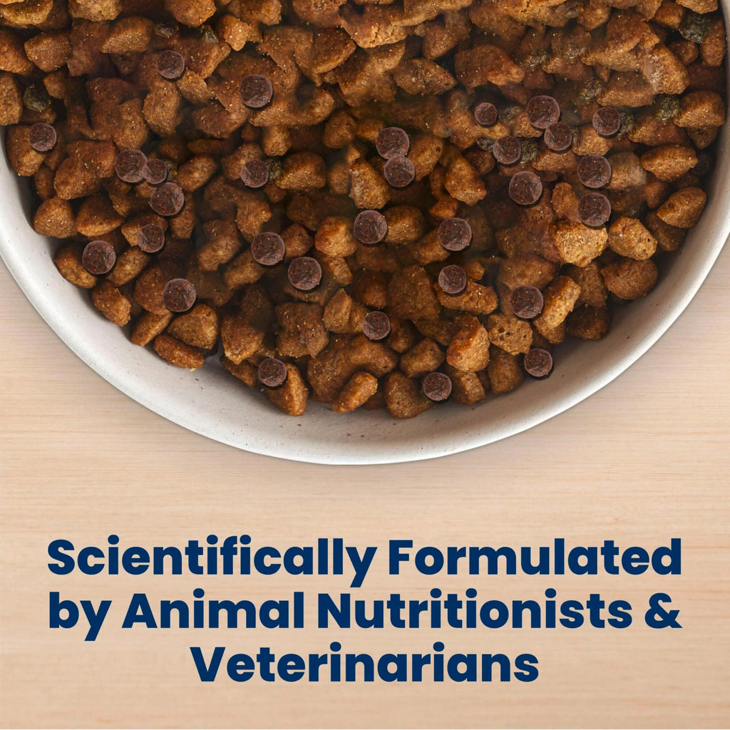 Blue Buffalo Life Protection Formula Chicken Adult Dry Dog Food, 5 lb | Real Chicken #1 Ingredient, Supports Immunity with Antioxidant-Rich LifeSource Bits, Promotes Healthy Muscle Development