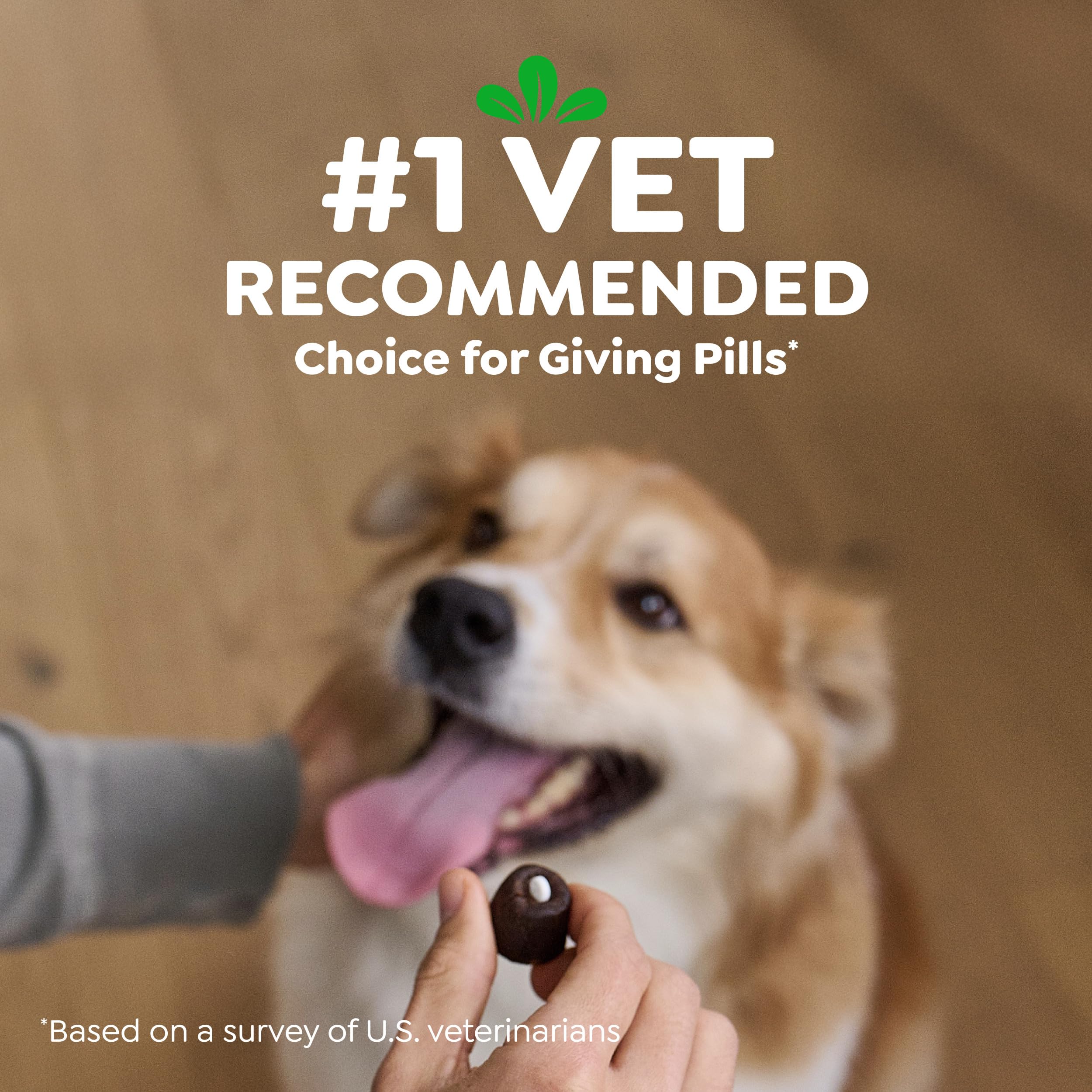 Greenies Pill Pockets Large Size Dog Treats, Peanut Butter, 15.8 oz | Vet-recommended, capsule size, low calorie, odor masking, stress- and mess-free medication experience