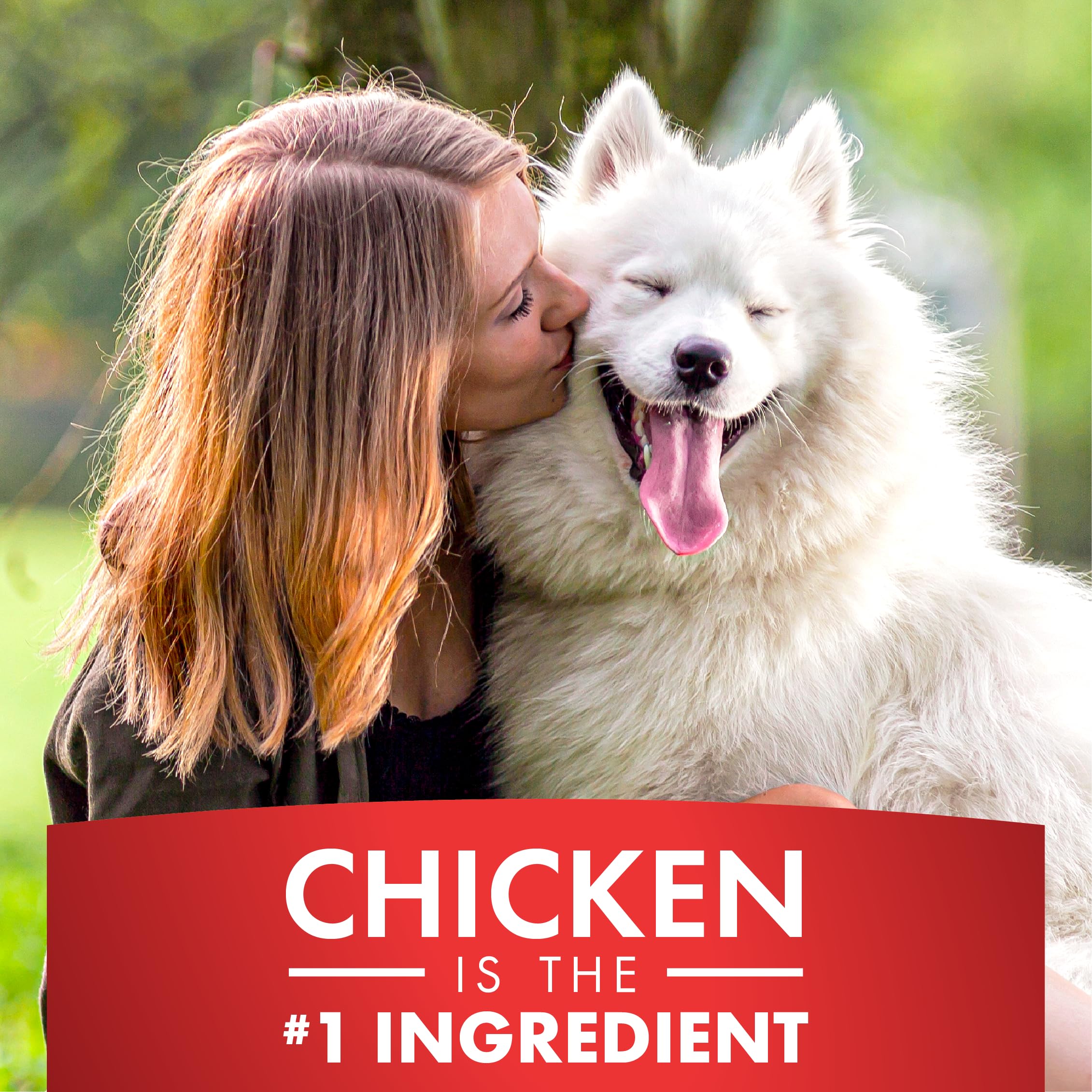 Pur Luv Chicken Wrapped Sweet Potato Dog Treats, Rawhide Free Jerky Wraps, Made with Real Chicken, 16 Oz, Healthy, Easily Digestible, Long Lasting, High Protein Treat, Satisfies Dog's Urge to Chew | Rawhide-free, high-protein jerky wrap: real chicken arou