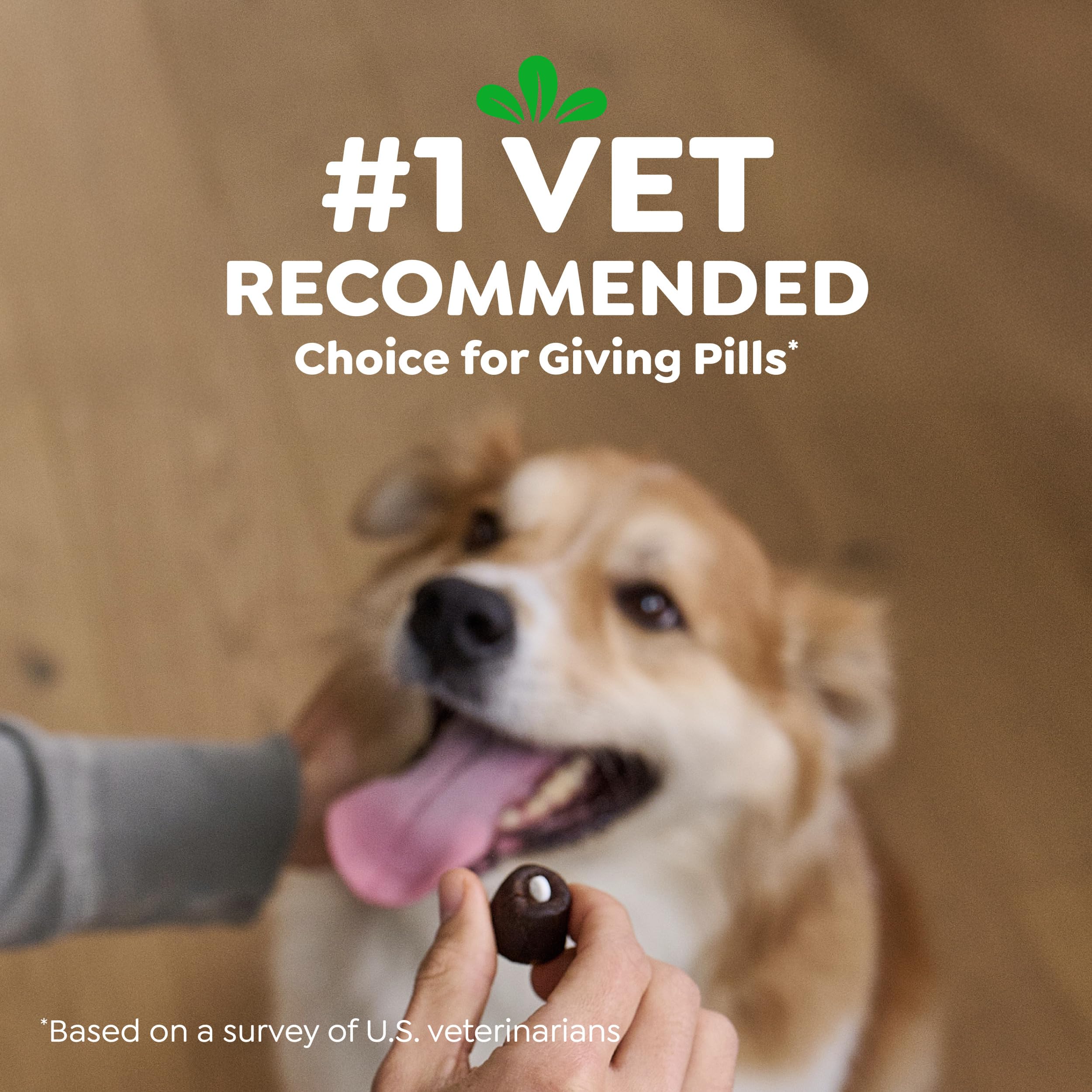 Greenies Pill Pockets Large Size Dog Treats, Peanut Butter, 15.8 oz | Vet-recommended, capsule size, low calorie, odor masking, stress- and mess-free medication experience