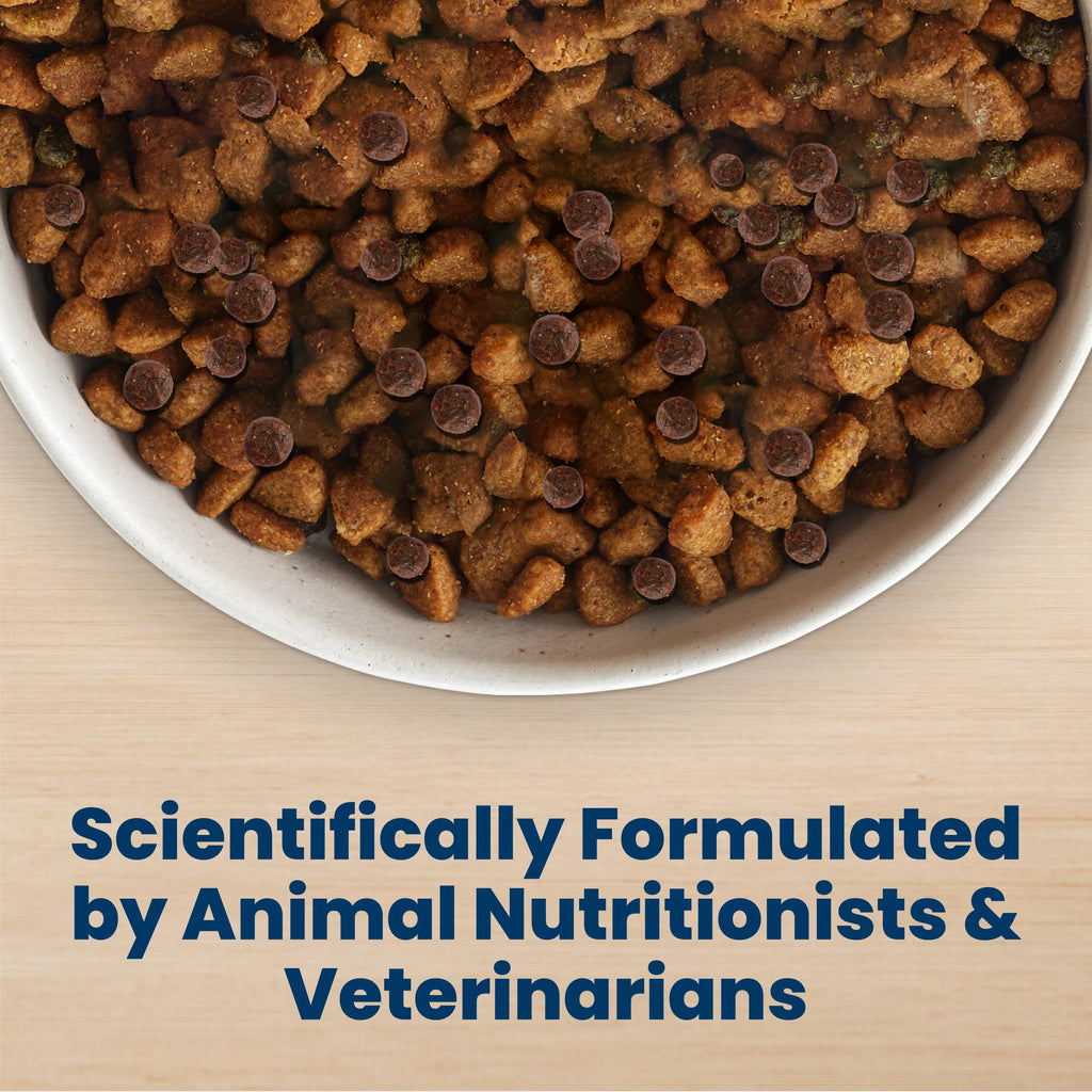 Blue Buffalo Life Protection Formula Chicken Adult Dry Dog Food, 5 lb | Real Chicken #1 Ingredient, Supports Immunity with Antioxidant-Rich LifeSource Bits, Promotes Healthy Muscle Development