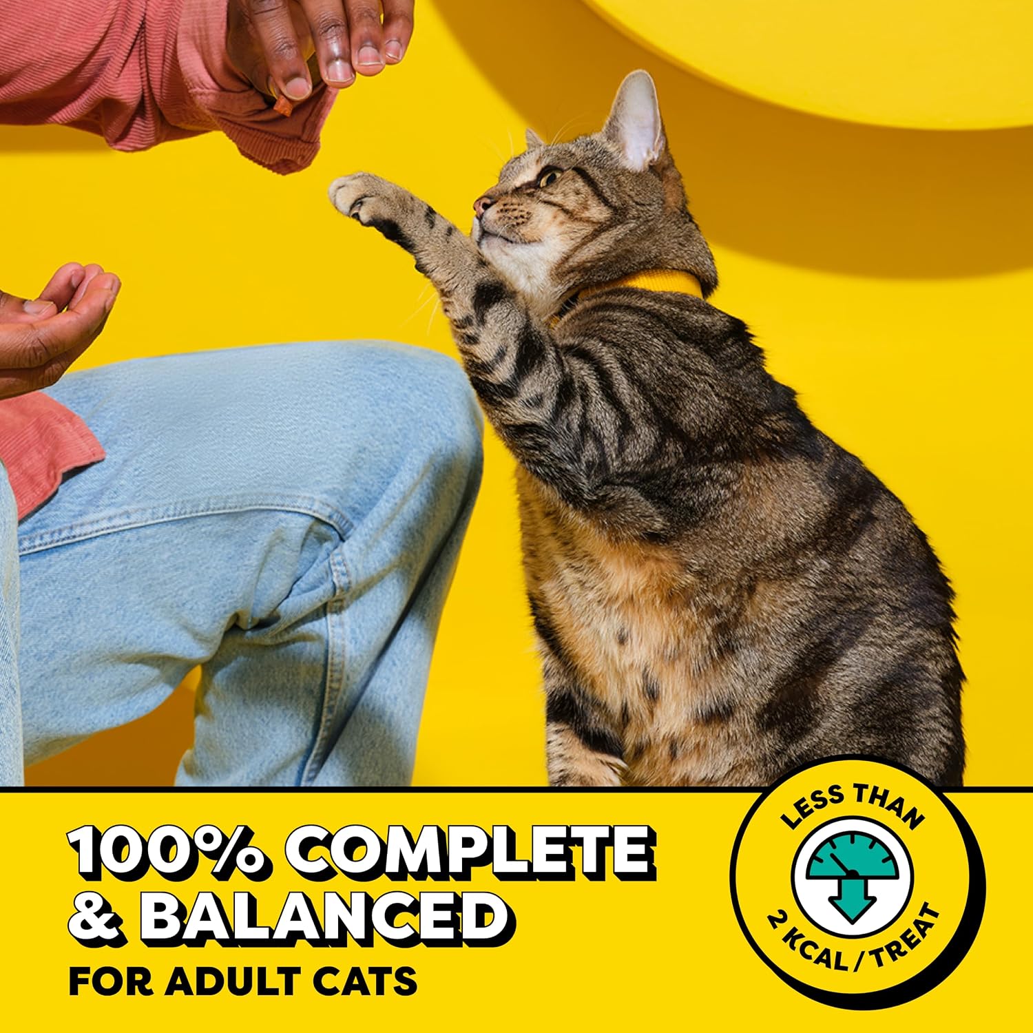 Temptations Classic Crunchy and Soft Cat Treats, Tasty Chicken, 30 oz | Under 2 calories per treat, crunchy outside & soft inside, resealable tub, use as meal or topper, 100% complete & balanced