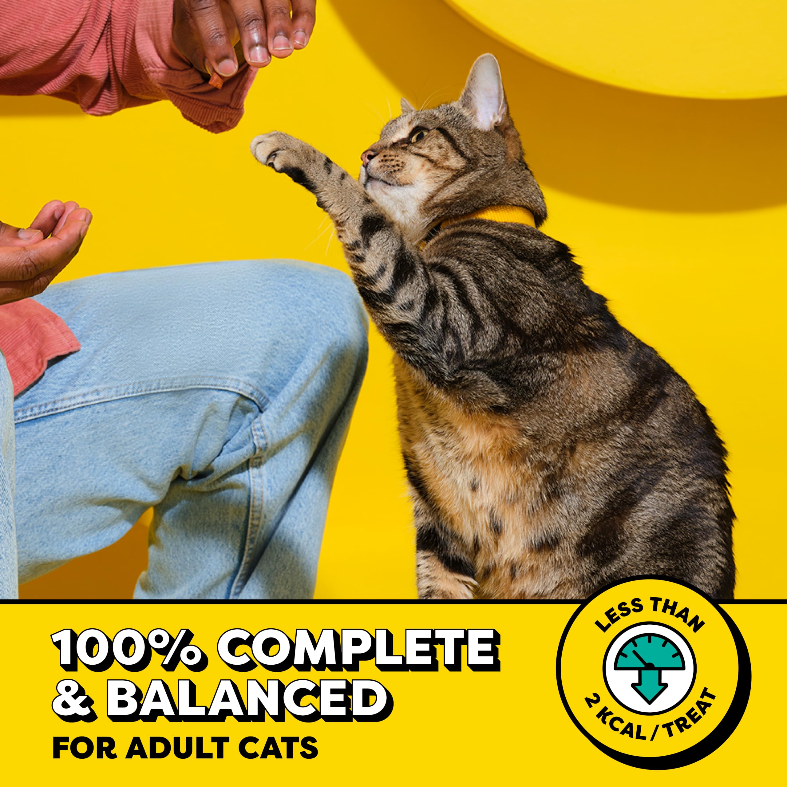 Temptations Classic Crunchy and Soft Cat Treats, Tasty Chicken, 30 oz | Under 2 calories per treat, crunchy outside & soft inside, resealable tub, use as meal or topper, 100% complete & balanced